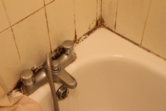 IMG_2469.JPG