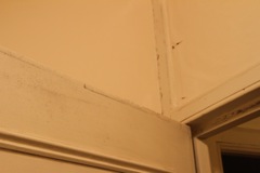IMG_2474.JPG