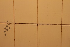 IMG_2475.JPG