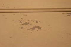 IMG_2477.JPG